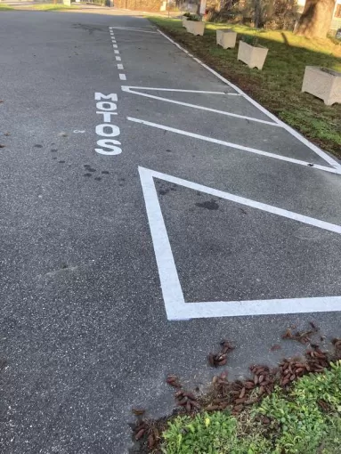 Marquage d'un stationnement moto à Toulouse , Balma, Marquage Parking Rénovation
